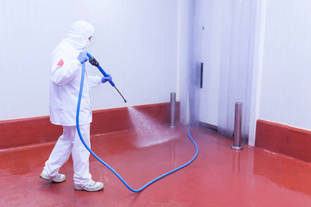 Best Deck and Patio Pressure Washing in Grandy, NC